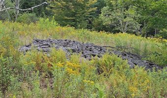 Shaver Hollow, Andes, NY 13731