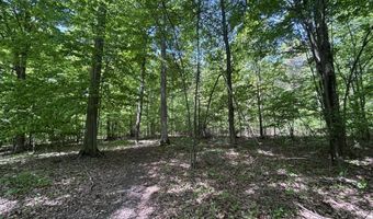 V/L 43.5A 104th Avenue, Allegan, MI 49010