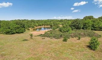 891 Sassafras Rd, Bennington, OK 74723
