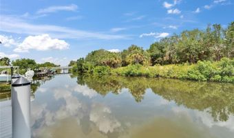 6520 SIMONE SHORES Cir, Apollo Beach, FL 33572