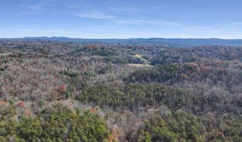 229 Pine Valley Dr, Bassett, VA 24055