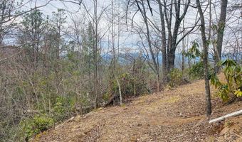Lot 46 Ridge View Drive, Andrews, NC 28901