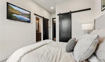 2520 BOREAS PASS Rd, Breckenridge, CO 80424