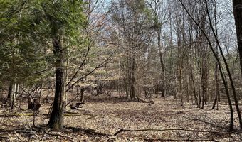 385 ELK CREEK Rd, Aaronsburg, PA 16820