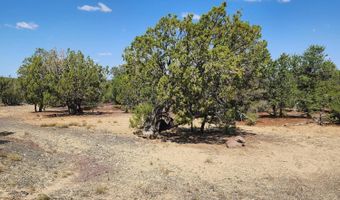 15 Co Rd 3041, Concho, AZ 85924