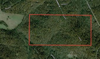 Tuska Drive, Ash Flat, AR 72513