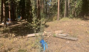 Edgewater Way lot 84, Adin, CA 96006