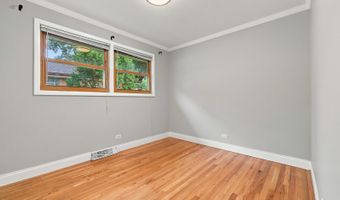1113 S Haddow Ave, Arlington Heights, IL 60005