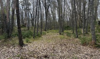 Freda's Lane, Arrowsic, ME 04530