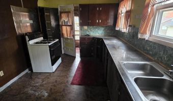 113 W Walnut St, Albion, MI 49224