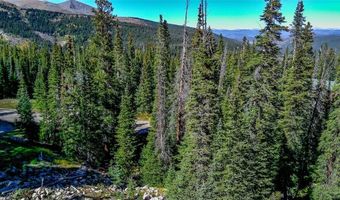 501 Kimmes Ln Lot 53, Breckenridge, CO 80424