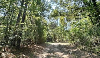 3 Champion Hill Rd, Bolton, MS 39041