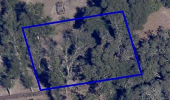 1621 CLARCONA Rd, Apopka, FL 32703