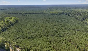 82 Acres Point Caswell Rd, Atkinson, NC 28421