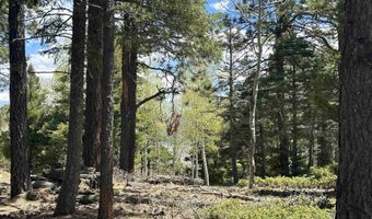 Lots 16 Lot17 Palo Flechado Ridge Road, Angel Fire, NM 87710