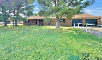 4405 S Thomason Rd, Carlsbad, NM 88220