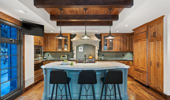 1345 Mayflower Ct, Aspen, CO 81611