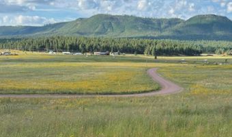 Lot 32 The Ranch at Alpine, Alpine, AZ 85920