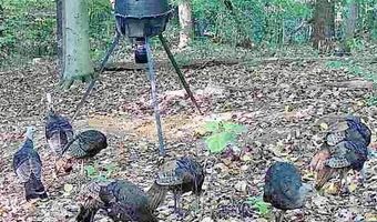 74521 Lively Ridge Rd, Albany, OH 45710