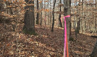 00001 Hwy 369, Ball Ground, GA 30107