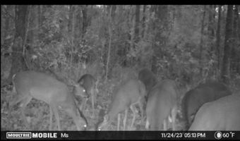 St. Johns Road, Braxton, MS 39044