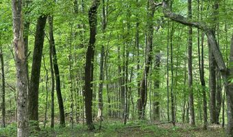0 Oak Dr./Brady Dr, Albany, KY 42602