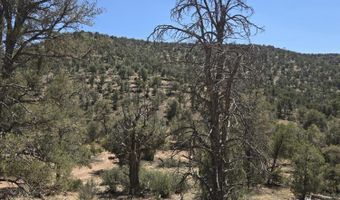 207 A Arizona Rd, Ash Fork, AZ 86320