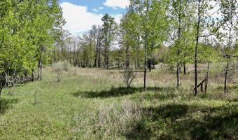 La Grant Road, Alger, MI 48610