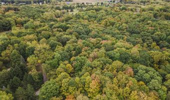 5709 Alaska Ave SE, Alto, MI 49302