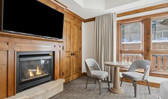 415 E Dean Unit 44a Week 9, Aspen, CO 81611