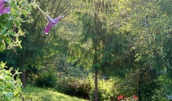 22600 BLAINE Rd, Beaver, OR 97108