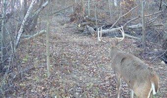 County KK, Alma, WI 54610