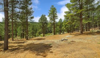21 Pam Coleman, Angel Fire, NM 87710