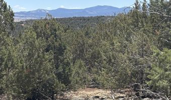 45 B N8601, Concho, AZ 85924