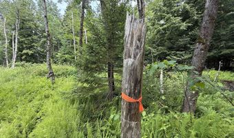 1386 Clif Reynolds Rd, Cambridge, VT 05444