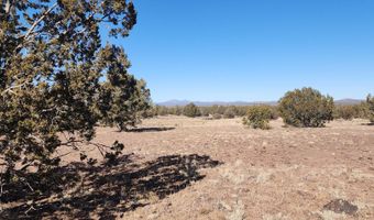 251 Se4 Juniperwood Rnch, Ash Fork, AZ 86320