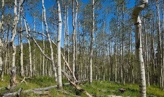 40 Acres Summit Mountain Rd, Brian Head, UT 84719