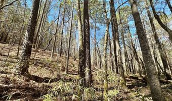 3 County Road 5112, Ethel, MS 38829