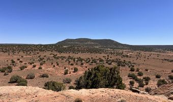 77 CR N8604, Concho, AZ 85924
