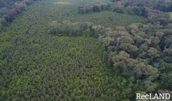 Cooper Lake Road, Bastrop, LA 71220