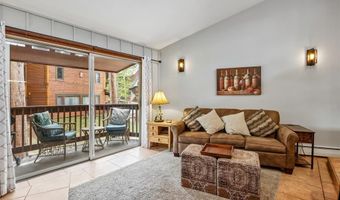 1080 Ski Hill Rd 9, Breckenridge, CO 80424