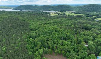 COLVIN SPRINGS ROAD 6, Ashville, AL 35953