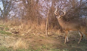 189 Th St, Albia, IA 52531