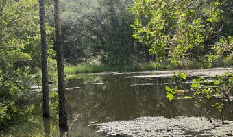 20 Acres Canyon Trl, Baker, FL 32531