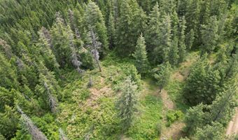 NKA INITIAL PEAK Rd, Cataldo, ID 83810
