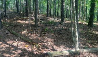 6 Acres Henry Scott, Ball Ground, GA 30107