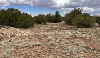 207 ACR 8056 Rd 218, Concho, AZ 85924