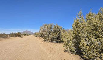19688 S Diamondback Rd, Yucca, AZ 86438