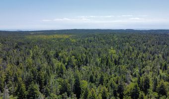 Lot 9-1 Black Duck Cove Road, Beals, ME 04611