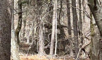 385 ELK CREEK Rd, Aaronsburg, PA 16820